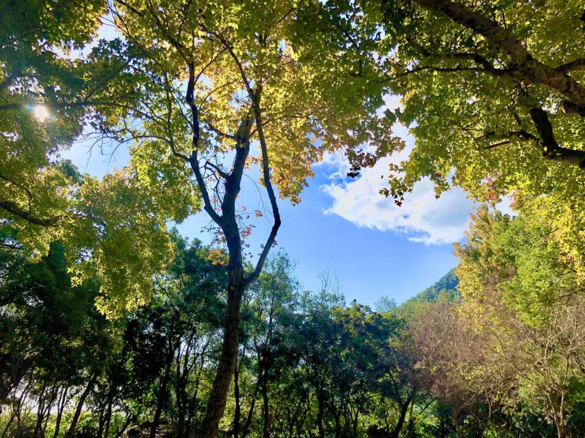 慢水山丘民宿 Slow Water Hill Yuemei Экстерьер фото
